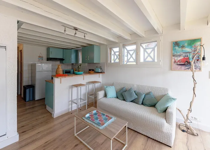 13 - En Duplex Jardin Prive A 400m Du ビスカロッス